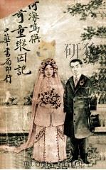 奇童纵囚记 1917 PDF电子版封面 何海鸣著;董晳芗校订