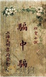 骗中骗  社会小说（1916 PDF版）