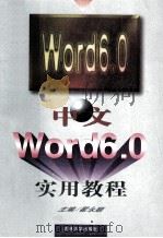 中文Word 6.0实用教程 1997 PDF电子版封面 7560120261 翟永顺主编