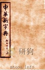 中华新字典续编 辰集 1929 PDF电子版封面 (民国)王文等编