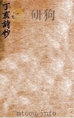 丁亥诗钞（1912 PDF版）