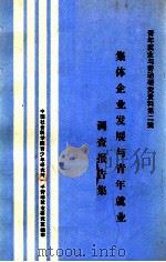 集体企业发展与青年就业调查报告集  青年就业与劳动研究资料第2辑（ PDF版）