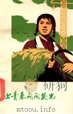 让青春闪闪发光（1973 PDF版）