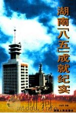 湖南“八五”成就纪实 1999 PDF电子版封面 7543819562 王克英主编
