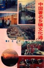 中国著名乡镇文化通 1992 PDF电子版封面 7500412657 何畏主编