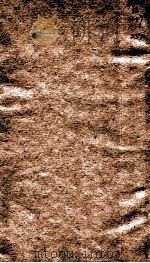 证治准绳 第6册 上 1793 PDF电子版封面 (明)王肯堂著