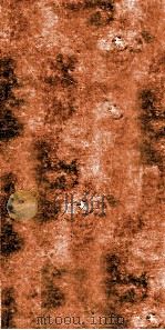 幼科证治准绳集  卷2  2（1793 PDF版）
