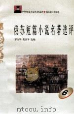 俄苏短篇小说名著选评  6   1996  PDF电子版封面  7810294482  罗治华，黄汉平选编 