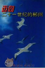 迈向二十一世纪的郴州 1997 PDF电子版封面 7505101404 罗海运主编;罗相朝,张成城,卢少林副主编