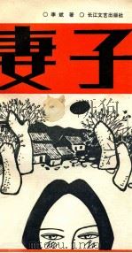 妻子 1990 PDF电子版封面 753540295X 李斌著