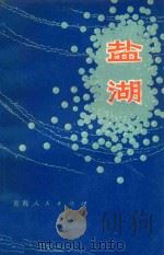 盐湖 1980 PDF电子版封面 13097·33 于栤松编著