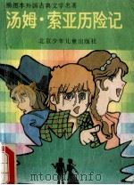 汤姆·索亚历险记 1993 PDF电子版封面 7530101080 (美)马克·吐温原著;(美)代德·莱肯改写;杨凌雁译