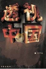 透视中国 第4卷 1998 PDF电子版封面 7801410742 王丽红等主编
