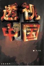 透视中国 第2卷 1998 PDF电子版封面 7801410742 王丽红等主编