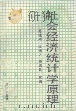社会经济统计学原理 1991 PDF电子版封面 7543802724 易桂初等主编