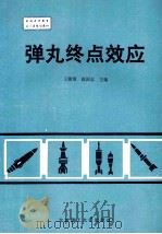 弹丸终点效应 1993 PDF电子版封面 7810137581 王儒策,赵国志主编