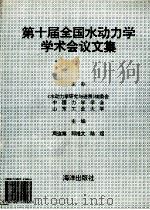 第十届全国水动力学学术会议文集 1996 PDF电子版封面 7502741984 周连第,邵维文,陆煜主编