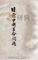 目前中国革命问题 1928 PDF电子版封面 施存统著