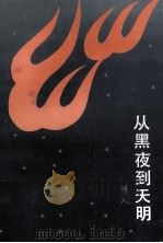 从黑夜到天明 1991 PDF电子版封面 7535005985 羽人著