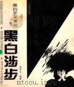 黑白艺术系列  黑白涉步  图集   1996  PDF电子版封面  7531007169  高荣生编著 
