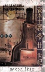 资本主义与二十一世纪 1991 PDF电子版封面 9570807148 黄仁宇著