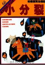 小分裂 1992 PDF电子版封面 9573214989 司马光著;柏杨译