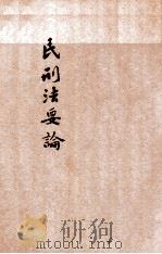 民刑法要论 1928 PDF电子版封面 赵欣伯著