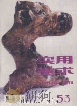实用美术 53 1994 PDF电子版封面 10004483 周峰主编