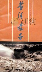 黄河赤子   1992  PDF电子版封面  7537807183  武建中著 