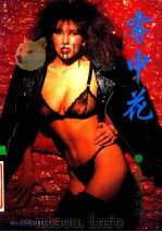 雾中花 女性内衣风韵 1993 PDF电子版封面 7539404175 黄毓编