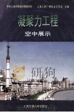 凝聚力工程空中展示 1996 PDF电子版封面 7313017251 中共上海市委组织部组织处,上海人民广播电台文艺台主编