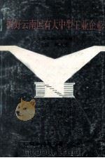 搞好云南国有大中型工业企业 1992 PDF电子版封面 阳久安主编