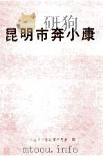 昆明市奔小康（ PDF版）