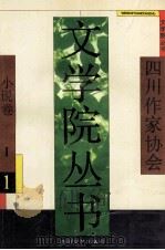 文学院丛书 小说卷 1 1993 PDF电子版封面 7541109770 徐康主编
