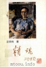 精魂 1996 PDF电子版封面 7805863075 汪明传著