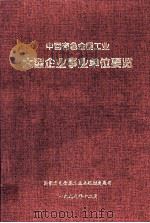 中国有色金属工业大型企业事业单位要览 1999 PDF电子版封面 潘家注