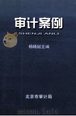 审计案例 1984 PDF电子版封面 杨晓超主编