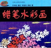 蜡笔水彩画   1999  PDF电子版封面  7530509292  王钧佑等著 