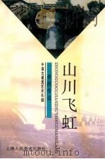 山川飞虹 桥的传说 1998 PDF电子版封面 753222001X 王剑平著