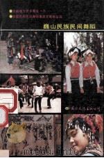 巍山民族民间舞蹈 1990 PDF电子版封面 7800494632 云南巍山县文化局编
