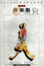 婚姻船 1998 PDF电子版封面 7539616466 陈晨,魏迎编
