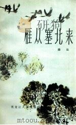 雁从塞北来   1983  PDF电子版封面  10093·500  薛汕著 