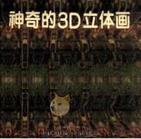 神奇的3D立体画（1995 PDF版）