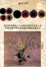 春夏秋冬插花艺术 1982 PDF电子版封面 筒井紫云编著