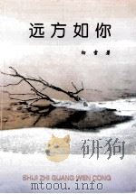 远方如你 1999 PDF电子版封面 7540207566 初雪著