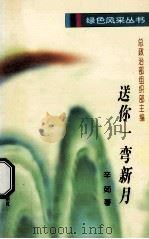 送你一弯新月 1996 PDF电子版封面 750330796X 辛茹著;总政治部组织部主编