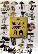 东北地区大型经济真菌 1998 PDF电子版封面 7560222668 李茹光主编