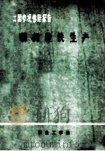 出国参观考察报告 朝鲜粒铁生产 1972 PDF电子版封面 东北工学院编
