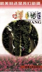 吐鲁番地区 1998 PDF电子版封面 7228047885 李维青主编