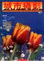 城市摄影 NO.13 1988 PDF电子版封面 梁锦发总主编;冯丽薇主编